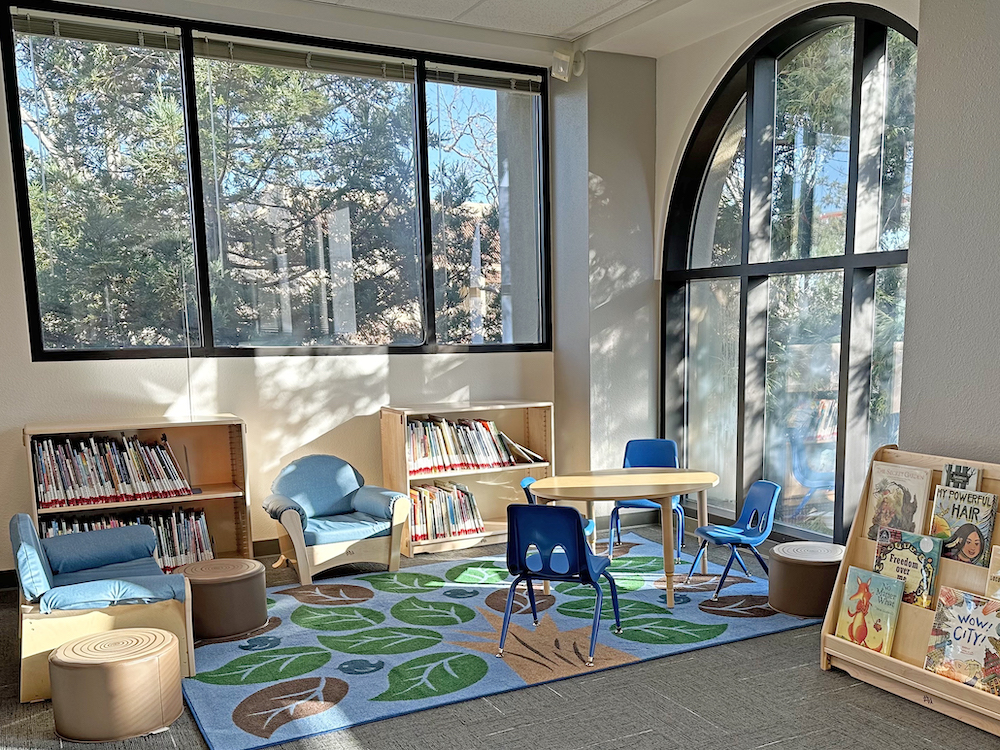 bookshelves, table, chairs and colorful rug